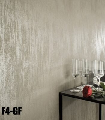 FILIDISETA F4GF copia